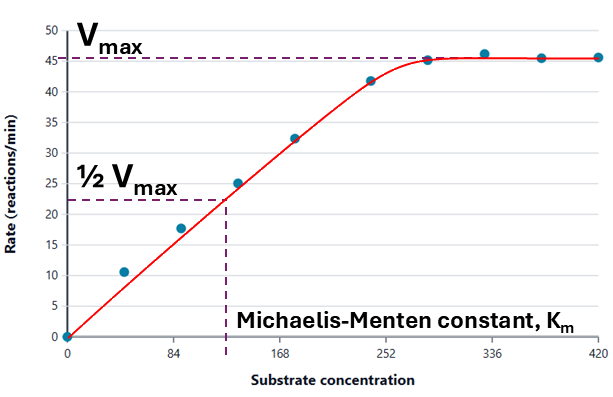 Graph showing Vmax and the Michaelis constant