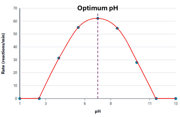 Graph of enzyme activity against pH