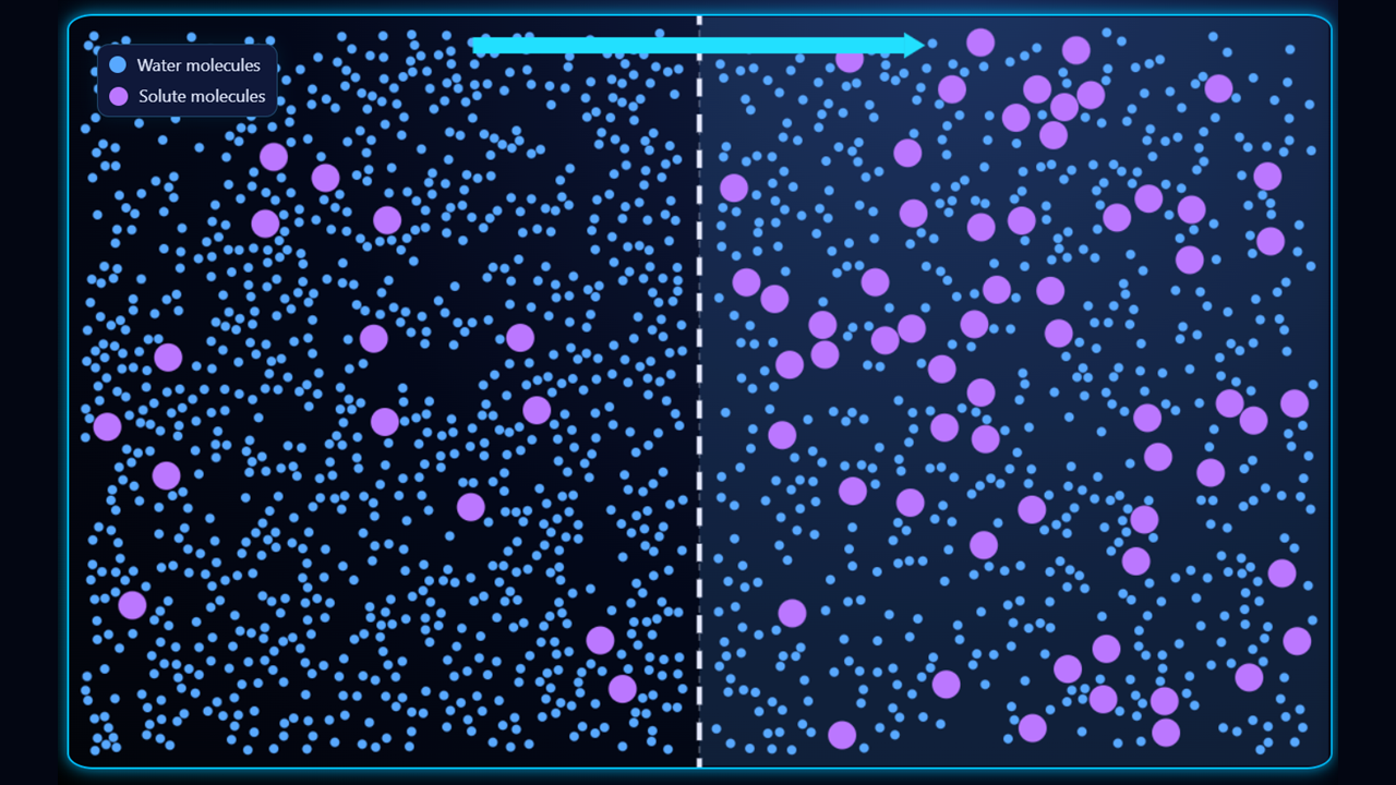 Basic mode: right side hypertonic example